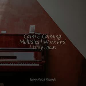 Calm & Calming Melodies | Work and Study Focus - Ivory Mood
