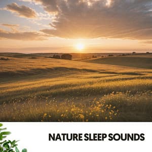 Nature Sleep Sounds: Lullabies of the Wild - Música Relajante Para Leer