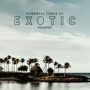 Powerful Force of Exotic Sounds - Exotic Power Maker