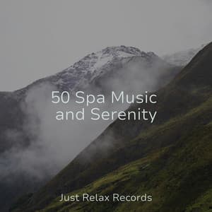 50 Spa Music and Serenity - Sleep Music Lullabies