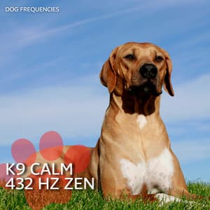 K9 Calm: 432 Hz Zen - Dog Frequencies