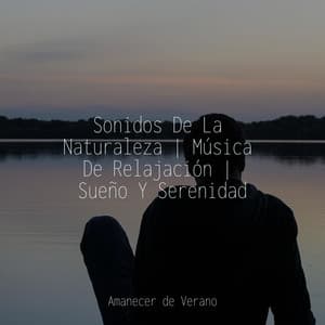 Sonidos De La Naturaleza | Música De Relajación | Sueño Y Serenidad - Academia de Música con Sonidos de la Naturaleza
