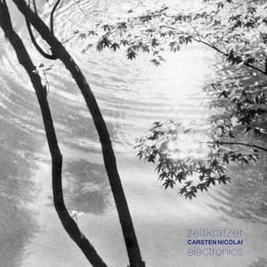 Zeitkratzer . Electronics. Carsten Nicolai  ) - Zeitkratzer