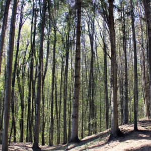 ! ! ! ! ! ! O Tempo da Felicidade e Amor - Alan Baratieri
