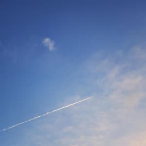 Omission Stasis - Byelti