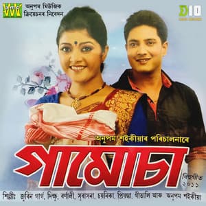 Gamusa 2011 - Anupam Saikia