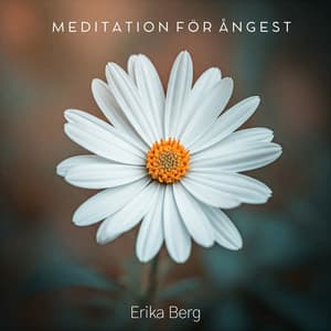 Meditation för ångest: Mental avslappning och inre harmoni - Erika Berg