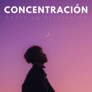 Concentración: Mente En Relajación - Musica Instrumental Para Relajar tus Sentidos