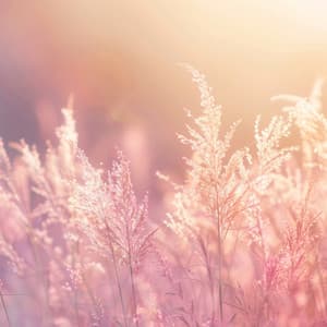 Calming Harmonies for Relaxation Time - Classical Praise Musicians