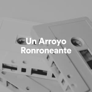 Un Arroyo Ronroneante - Ruido Marrón Para Concentración