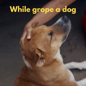 While grope a dog - Breakfast Lounge Music