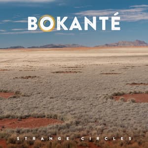 Strange Circles - Bokanté