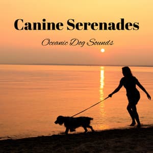 Canine Serenades: Oceanic Dog Sounds - Ocean Sounds
