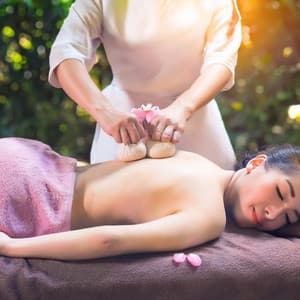 Orquesta De Spa Relajante: Sonidos Suaves De Cámara - Lee Rosangela