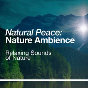 Natural Peace: Nature Ambience - Relaxing Sounds Of Nature