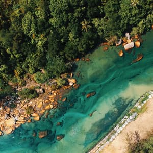 River's Cadence: Water Expressions Explored - Nature Sounds Artists