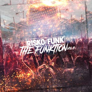 The Funktion, Vol. 2 - Risko Funk