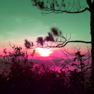 Music for Evening Country - Modern Dinner Music