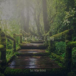 Powerful Music | Sleep - Meditación