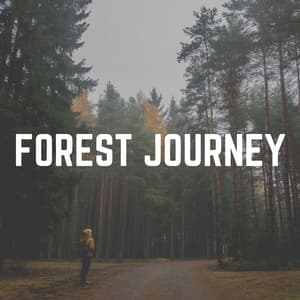 Forest Journey - Sound of Nature Library