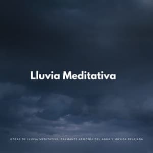 Gotas De Lluvia Meditativa: Calmante Armonía Del Agua Y Música Relajada - Terapia de lluvia