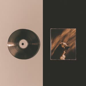 Warm Hug Fest - Music for Pets Library