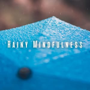 Rainy Mindfulness: Ambient Sounds for Clear Focus - Rain Sounds Factory STHLM