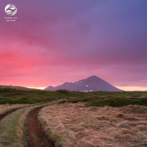 Enchanting Midnight Piano - Mystic Nature