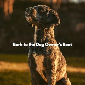 Bark to the Dog Owner's Beat - Dog Music Radio