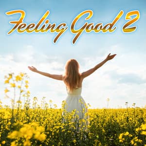 Feeling Good 2 - Valeriy Antonyuk
