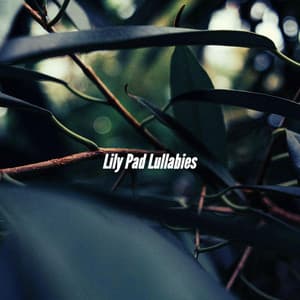 Lily Pad Lullabies - Boutique Hotel Music