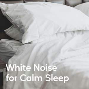 White Noise for Calm Sleep - White Noise Sounds FX