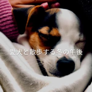 愛犬と散歩する冬の午後 - Cool Jazz Lounge