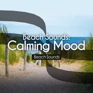 Beach Sounds: Calming Mood - Beach Sounds and Ocean Waves