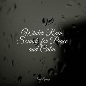 Winter Rain Sounds for Peace and Calm - Big Sounds