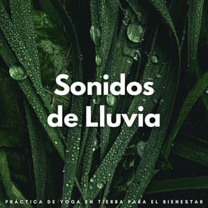 Sonidos De Lluvia: Práctica De Yoga En Tierra Para El Bienestar - Sonidos de lluvia y ruido de fondo