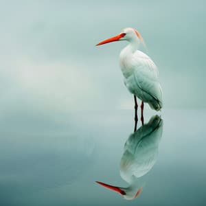 Cánticos Del Arroyo: Meditación Binaural Con Aves De La Naturaleza - 80 88 Hz - Musica para Meditar