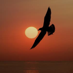 The Abundance Frequency 432 Hz - Heavenly Realms