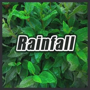 Rainfall - Rain Sounds & Nature Sounds