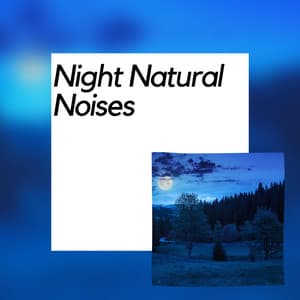 Nature Sounds: Night Natural Noises - Sleep Crickets