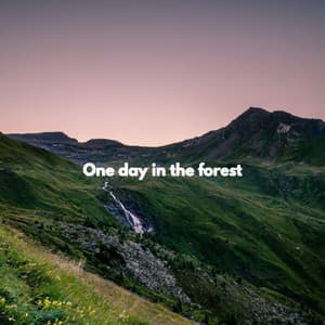 One day in the forest - Musica de Piano Clásicos