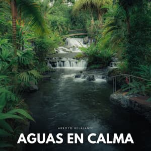 Aguas En Calma: Arroyo Relajante - Efectos de agua