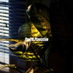 Prairie Plantation - Coffeehouse Lounge