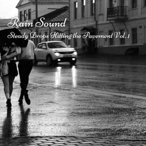 Rain Sound: Steady Drops Hitting the Pavement Vol. 1 - The Rain Factory