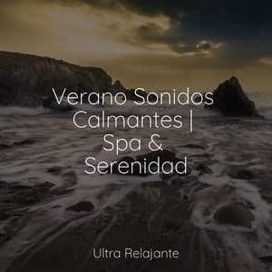 Verano Sonidos Calmantes | Spa & Serenidad - Sueño Profundo