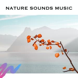 Nature Sounds Music - Loopable Radiance