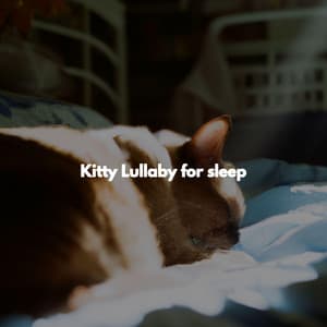 Kitty Lullaby for sleep - Jazz for Tea and Coffee