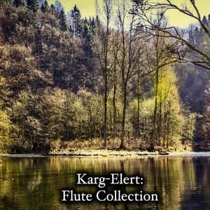 Karg-Elert: Flute Collection - Sigfrid Karg-Elert