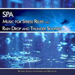 SPA Music for Stress Relief with Rain Drop and Thunder Sounds: Relaxing Sounds for Insonnia and Meditation - Rain Sounds Sleep Music Academy