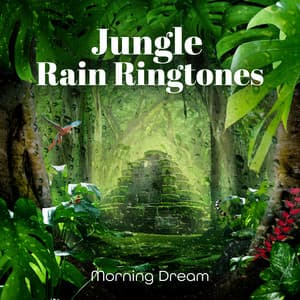 Jungle Rain Ringtones: Morning Dream - Nature Zone